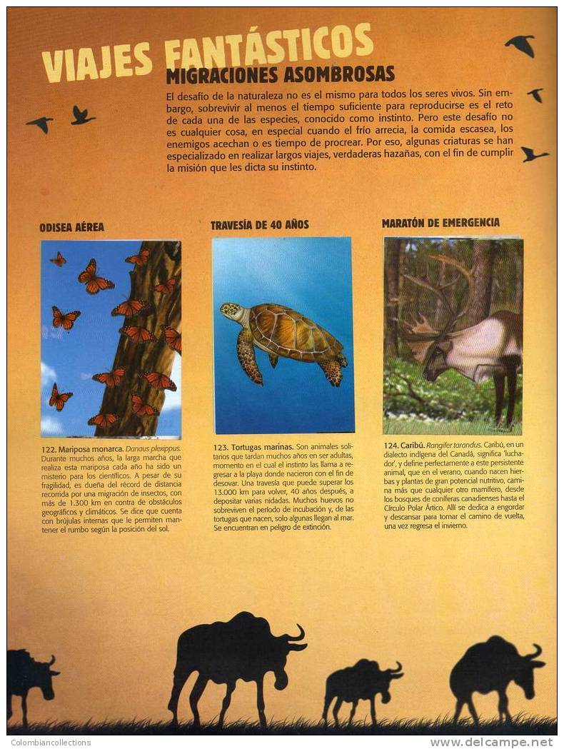 Lote 750, Colombia, 2007, Album de 250 laminas, El mundo de las animales, Chocolatinas Jet