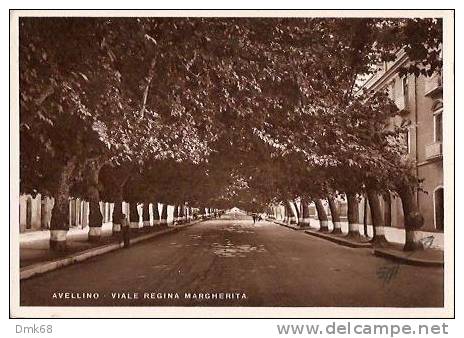 AVELLINO - VIALE REGINA MARGHERITA  - 1942 - Avellino