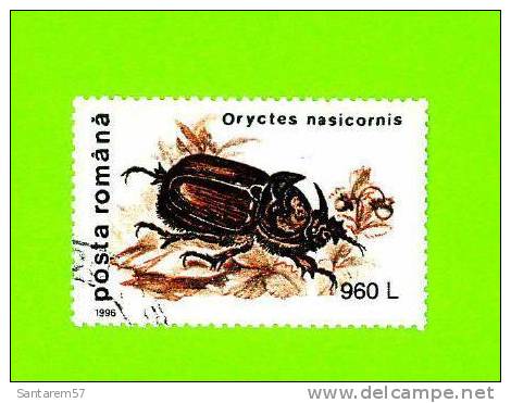 Timbre Oblitéré Used Mint Stamp Selo Carimbado ORYCTES NASICORNIS 960 L ROUMANIE 1996 - Used Stamps