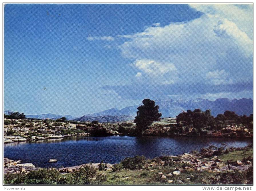 ERITREA - Sabaeic Lake (III Century A.C.) - Eritrea