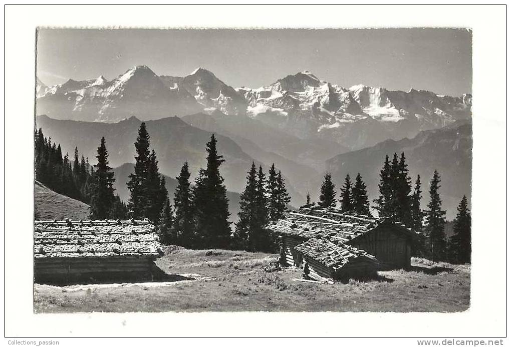 Cp, Suisse, Beatenberg - Niederhorn, Im Ausflulgsgeblet Der Seilbahn, Voyagée 1963 - Beatenberg