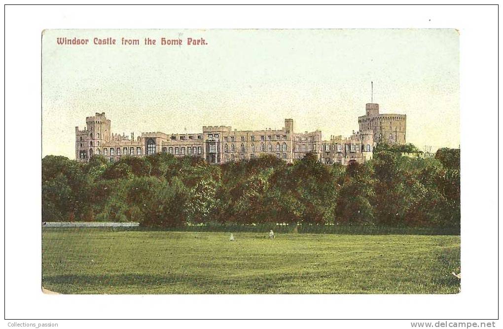 Cp, Angleterre, Windsor, Windsor Castle From The Home Park - Windsor Castle