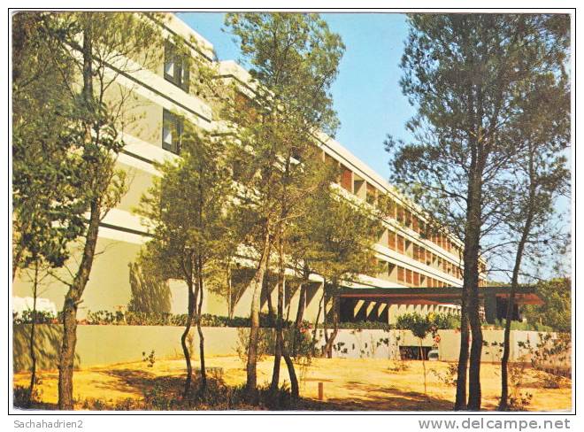 83. Cpsm. Gf. BANDOL. La Résidence Hôtel Athéna. 1264 - Bandol