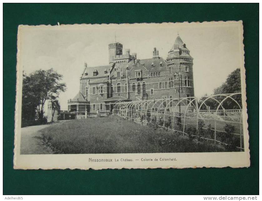 Ed. Heuse Hardy à Nessonvaux Chateau Colonie De Colomheid (Photovranken Liege) - Trooz