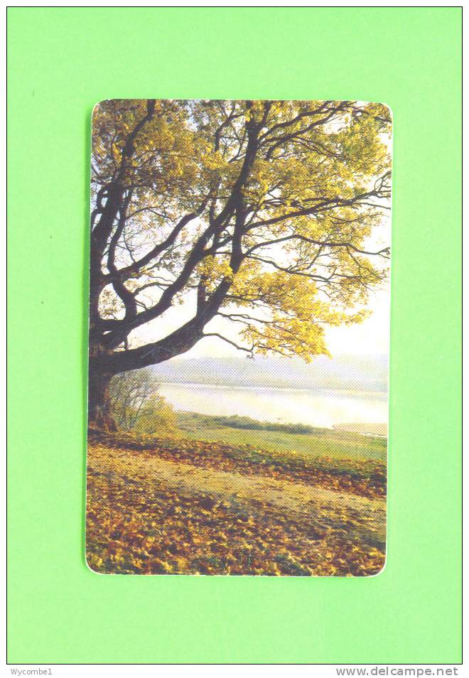 LITHUANIA  -  Chip Phonecard As Scan - Litouwen