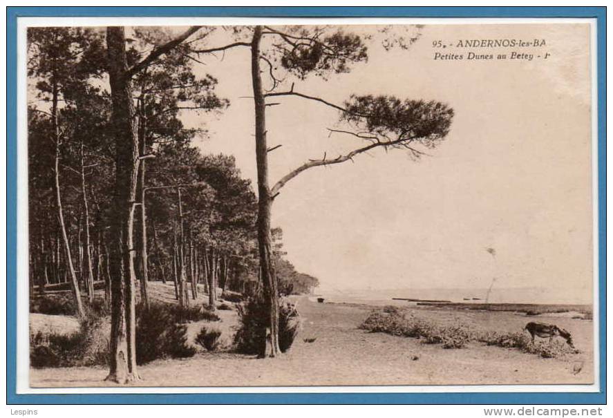 33 - ANDERNOS Les BAINS --  Petites Dunes .... état - Andernos-les-Bains