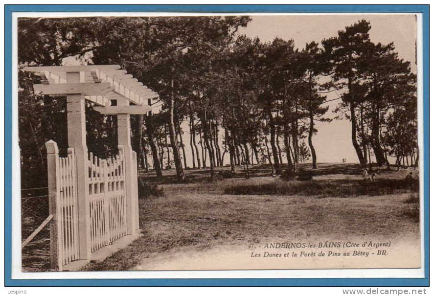 33 - ANDERNOS Les BAINS -- Les Dunes Et La Forêt De..... - Andernos-les-Bains