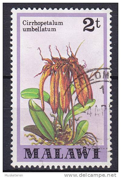 Malawi 1979 Mi. 306    2 T Flower Blume Orchideen Orchid - Malawi (1964-...)