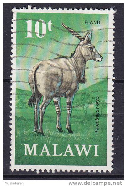 Malawi 1971 Mi. 153    10 T Elena Antilope - Malawi (1964-...)