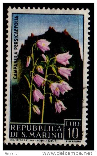 PIA - SAN  MARINO  - 1967 - Fiori : Campanula Persicaefolia  -  (SAS  733) - Gebruikt