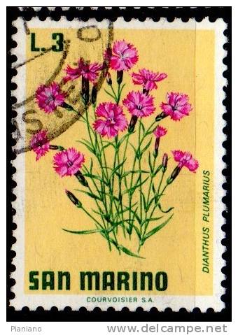 PIA - SAN  MARINO  - 1971 - Fiori : Danthus Plumarius  -  (SAS  838) - Used Stamps