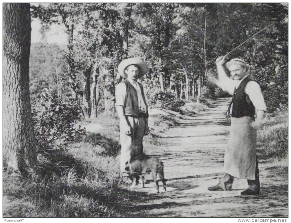 PORCHEFONTAINE - Lisière Du Bois De VIROFLAY - Animée - Voyagée Le 29 Décembre 1907 - Cliché TOP ! - Viroflay