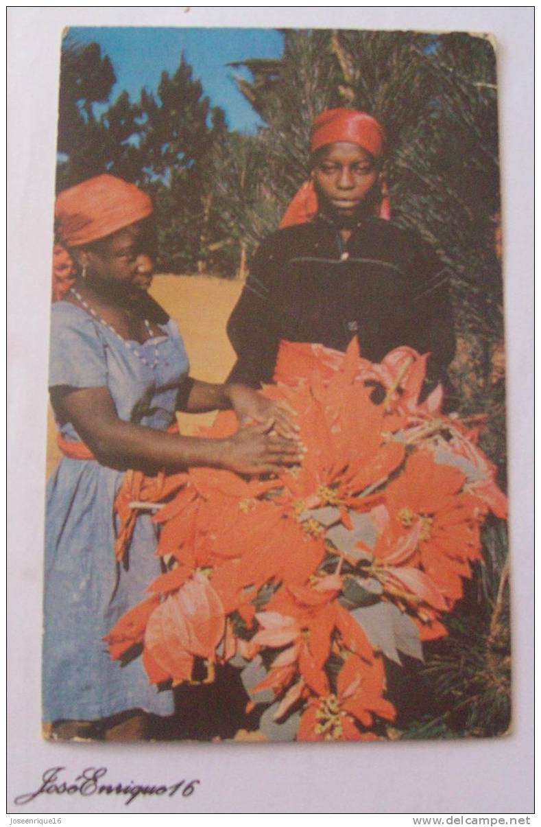 TI-SOR & TI-FEMME FIXING POINSETTIAS TO BE SOLD IN PORT AU PRINCE. HAITI - Altri & Non Classificati