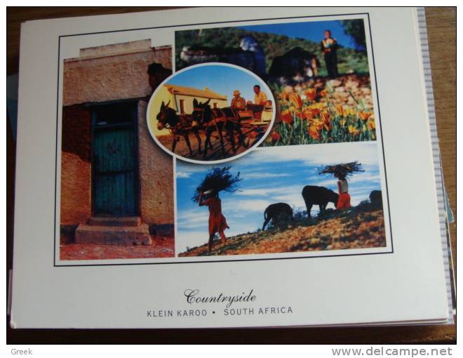 2 Cards Of Klein Karoo - Sud Africa