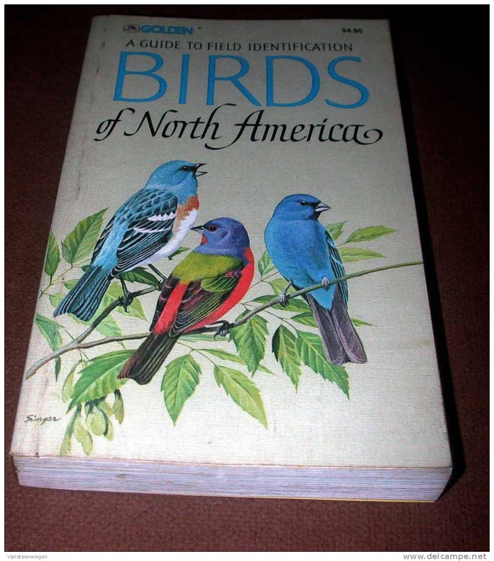 Robbins, C. S. & Bruun, B. & Zim, H. S. :  Guide To Field Identification BIRDS OF NORTH AMERICA - Vie Sauvage