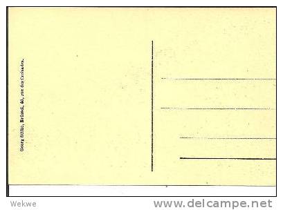 BB079/ Brüssel, D´Isle Strasse, Mit Geschäften, Kutschen Und Leuten - Avenues, Boulevards