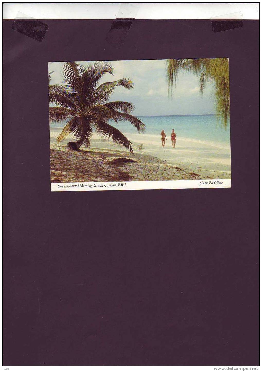 CAYMAN ISLANDS  1988 - Cartolina Per L'Italia - Kaaiman Eilanden