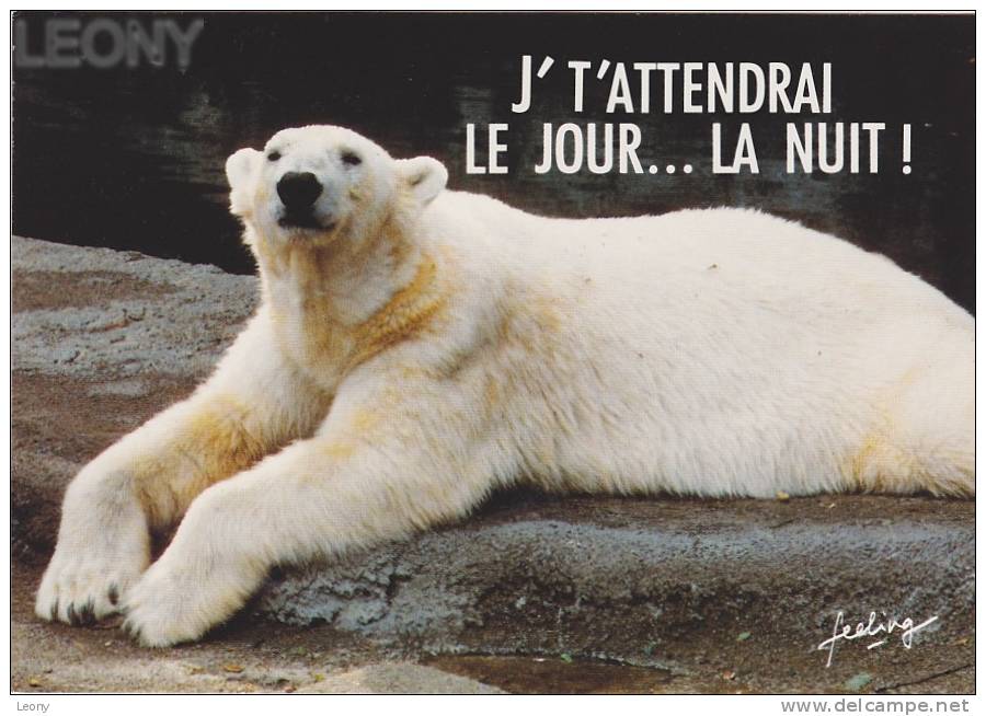 CPM Représentant " Un OURS BLANC - J'T'ATTENDRAI LE JOUR ... LA NUIT " - Mots Pour Rire - Beren