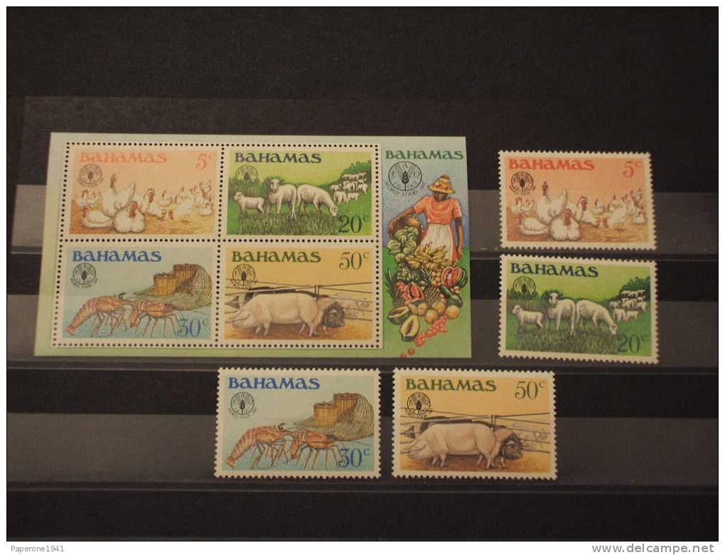 BAHAMAS - 1981 FAO/ANIMALI 4 VALORI + BF  -NUOVI(++)-TEMATICHE - Bahama's (1973-...)