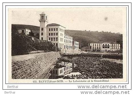 66 BANYULS SUR MER - Le Laboratoire Et Le Grand Hotel - Banyuls Sur Mer