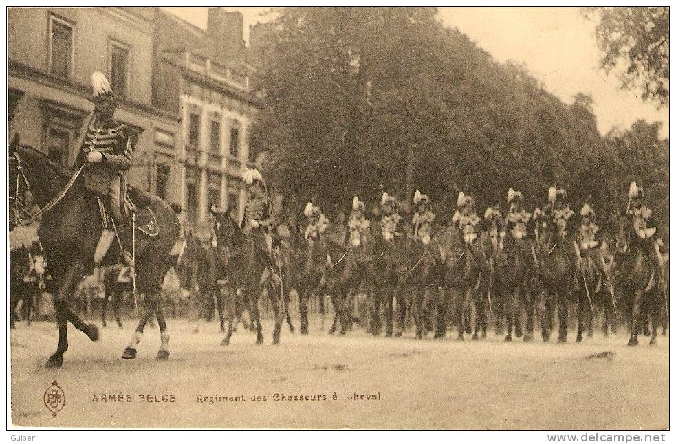 Armée Belge  Regiment Des Chasseurs A Cheval  Edit.PB - Guerre 1914-18