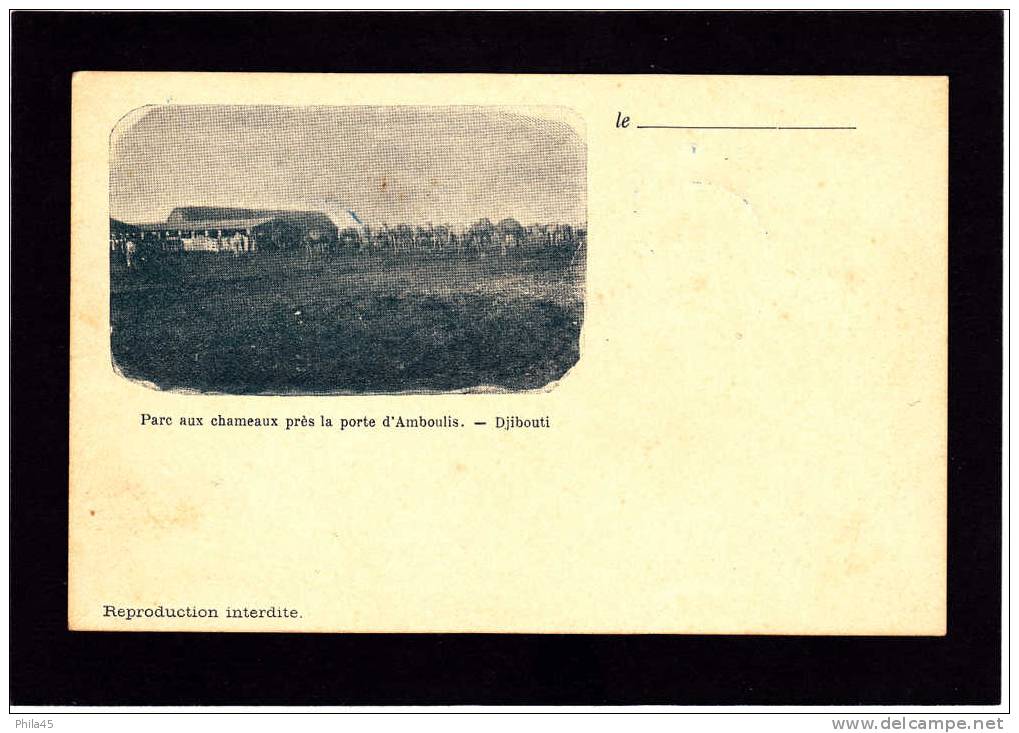 Carte Postale COTE DES SOMALIS : Parc Aux Chameaux Près  La Porte D'Amboulis - DJIBOUTI   17.1.1900 - Altri & Non Classificati