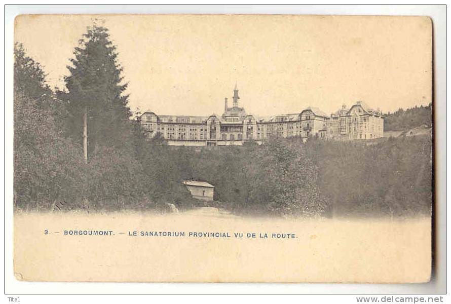 D5077 -  Sanatorium De Borgoumont  Vu De La Route (N°3) - Stoumont