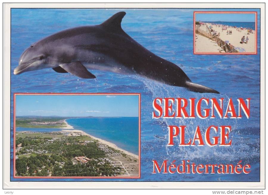CPM De SERIGNAN PLAGE  " DAUPHINS Et Multivues " - Dolphins