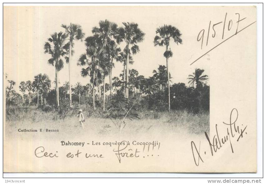C 5459 - DAHOMEY - Les Coquéres à Cococodji -  -  Rare Et Belle CPA 1907 - - Dahomey