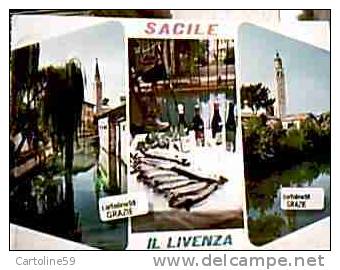 SACILE  E IL LIVENZA TROTE E VINO VINIFRIULANI VB1980 DB2204 - Pordenone