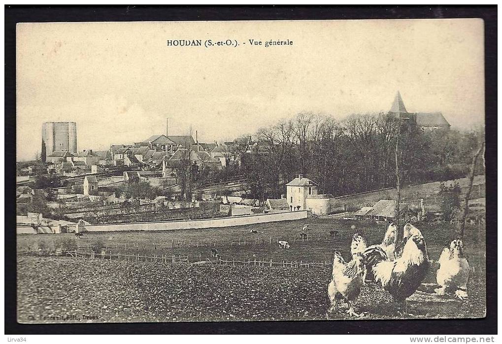 CPA  ANCIENNE- FRANCE- HOUDAN (78)- VUE GENERALE- VACHES DANS LES PRES- COQ ET POULES DE HOUDAN EN TRES GROS PLAN- - Houdan