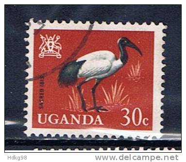 EAU+ Uganda 1965 Mi 91 Vogel - Ouganda (1962-...)