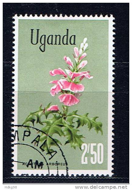 EAU+ Uganda 1969 Mi 116 Blüte - Oeganda (1962-...)