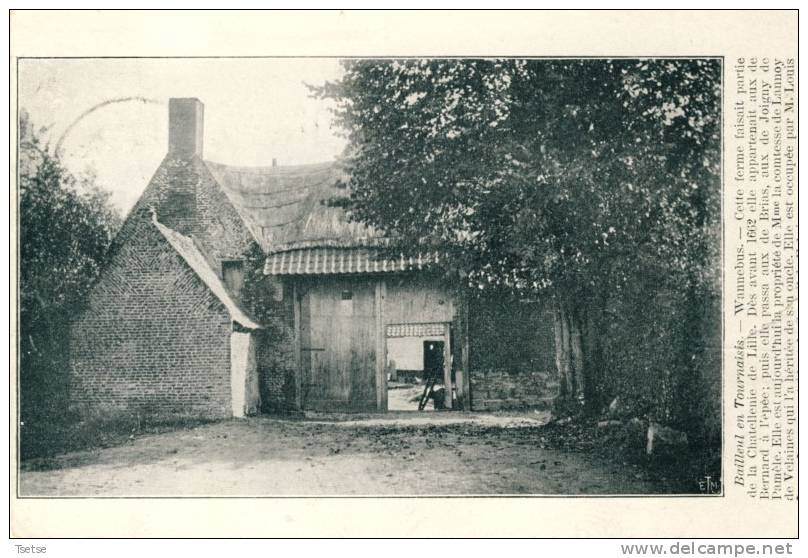 Bailleul En Tournaisis - Ferme Wannebus - 1914 ( Voir Verso ) - Estaimpuis