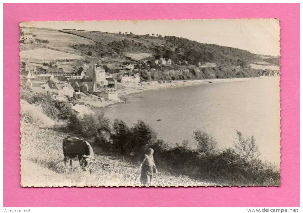 St MICHEL EN GREVE"VUE PANARAMIQUE"grand-mère Et Sa Vache"COTES DU NORD"22"Carte Postale Ancienne - Saint-Michel-en-Grève