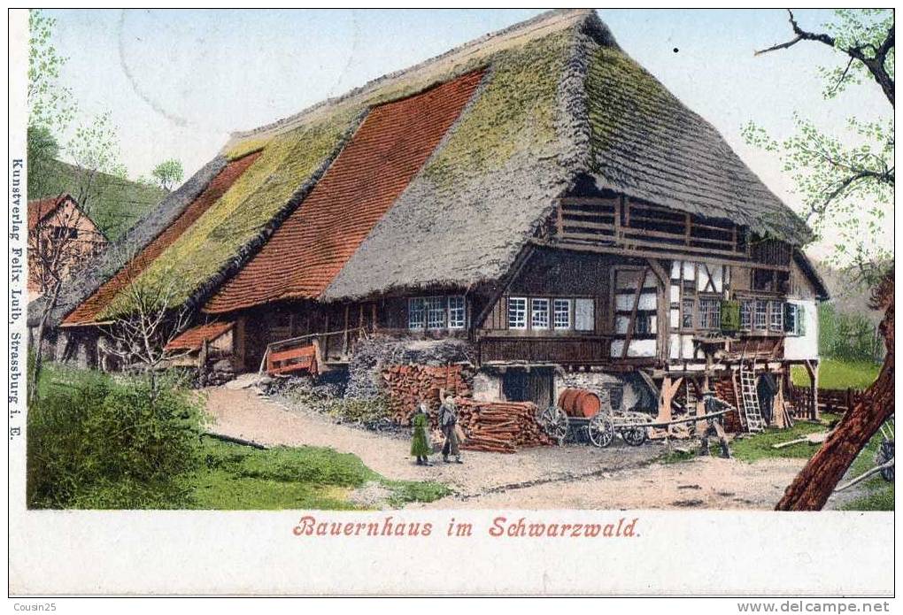 ALLEMAGNE - BAUERNHAUS IM SCHWARZWALD - Backnang