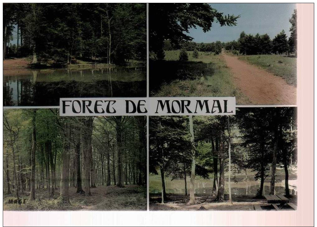 Carte Postale - Nord - Foret De Mormal - Berlaimont
