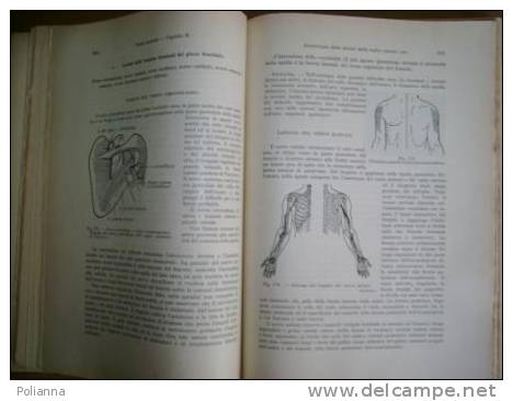 PAD/8  Mattirolo SEMEIOLOGIA DIAGNOSI E TERAPIA Delle MALATTIE NERVOSE 1944 - Medizin, Biologie, Chemie