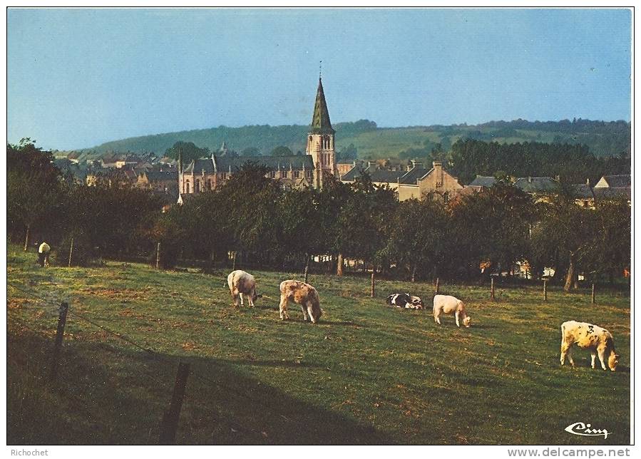 Cerfontaine - Panorama - Cerfontaine