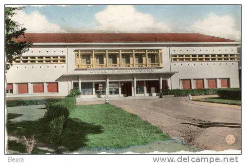 Ecole D'agriculture - Guelma