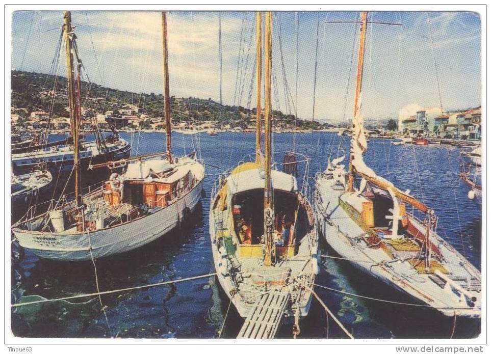 83 - CPSM - SAINT MANDRIER - Yachts Dans Le Port - Les Editions Aris, Bandol - Saint-Mandrier-sur-Mer