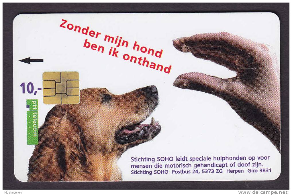 Netherlands Phonecard Handelingen Van Een ADL-Hond Dog & Hand € 10 Used (2 Scans) - Public