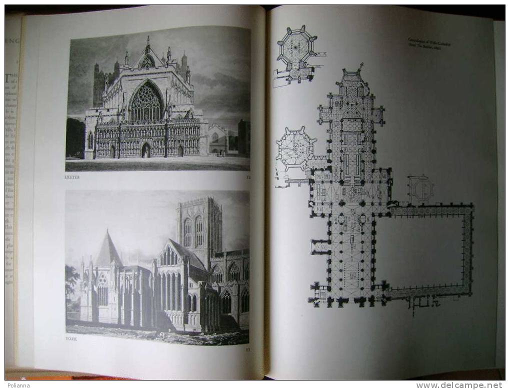 PAE/1 Hurlimann ENGLISH CATHEDRAL Thames Hudson 1956 /ARCHITETTURA GOTICO/CATTEDRALI INGHILTERRA - Arte, Architettura