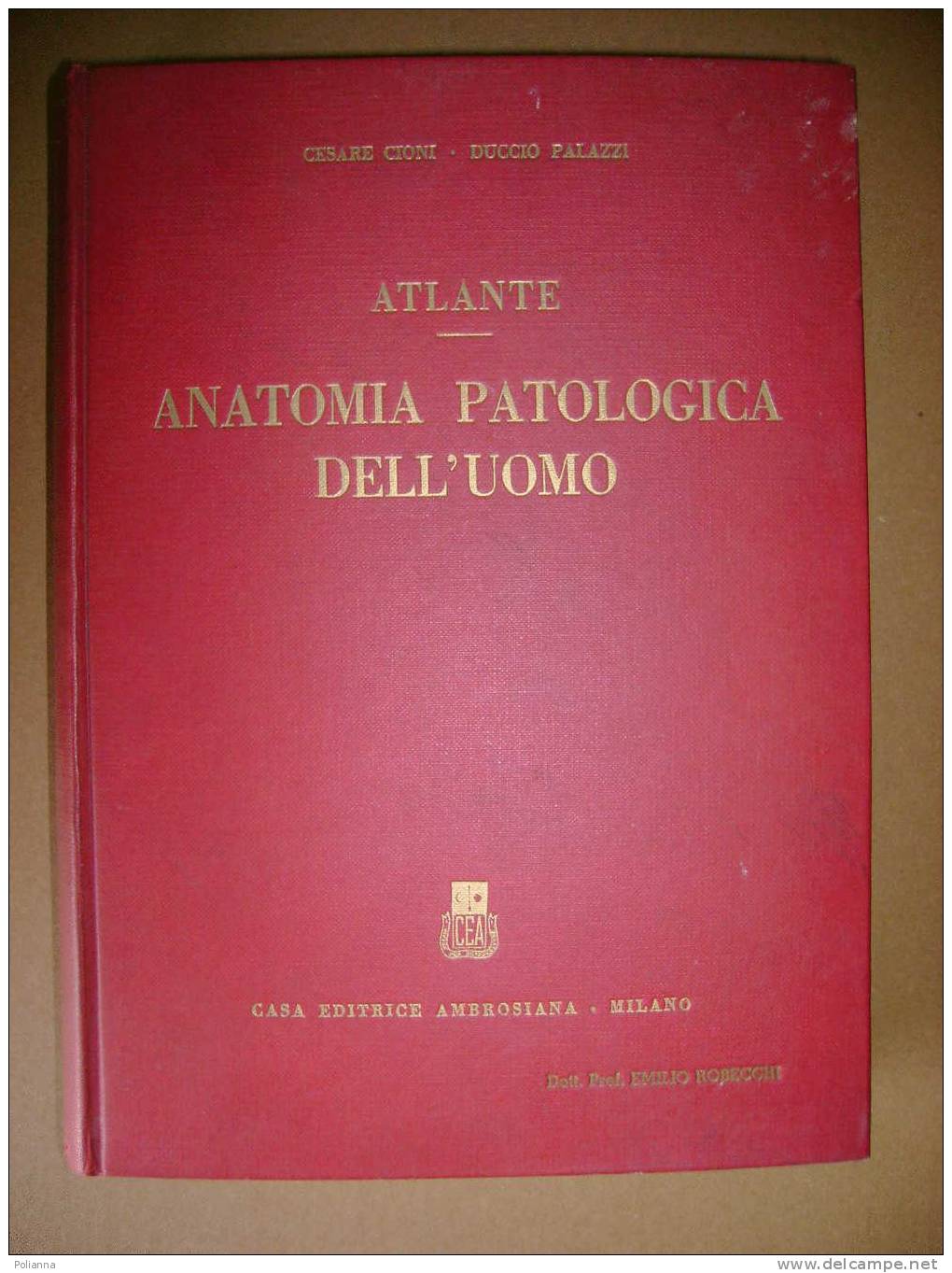 PAE/5 Cioni Palazzi ATLANTE ANATOMIA PATOLOGICA UOMO 1949 - Medicina - Medicina, Psicología