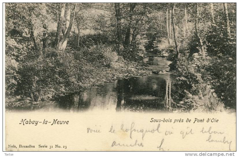 Habay-la-Neuve -Sous-bois Près De Pont D´Oie -1904 ( Voir Verso ) - Habay