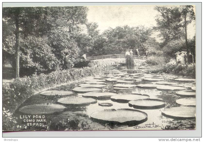 Lily Pond Como Park St Paul Minnisota - St Paul