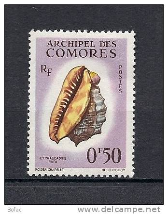 19  **  Y  &  T   (coquillages Ctpréacassis)   COMORES "colonie" 36/04 - Ungebraucht