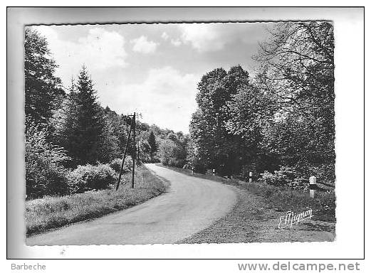 88.- LIFFOL-LE-GRAND .- Route De Grand - Liffol Le Grand