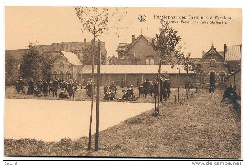 SCHERPENHEUVEL-PENSIONNAT DES URSULINES-PAVILLONS ET PREAU DE LA PLAINE STE ANGELE-SUPERANIMATIE!!! - Scherpenheuvel-Zichem