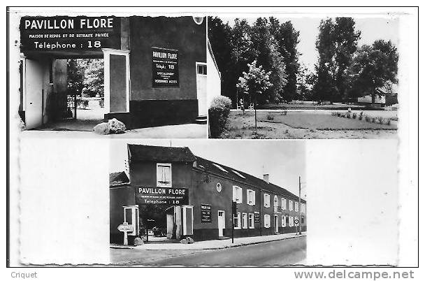 Cpsm 91 Montgeron, 3 Vues Du Pavillon Flore, Maisonde Retraite Et Repos, Phot. Loja - Montgeron